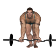 EZ Bar Curl - Bent Over Narrow Stance